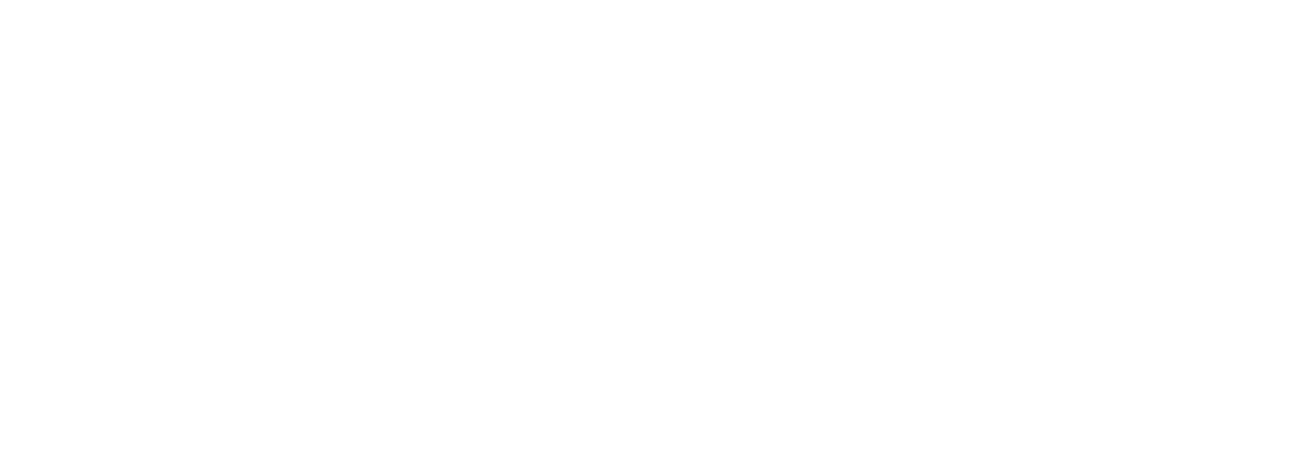 Bellamonte Professional