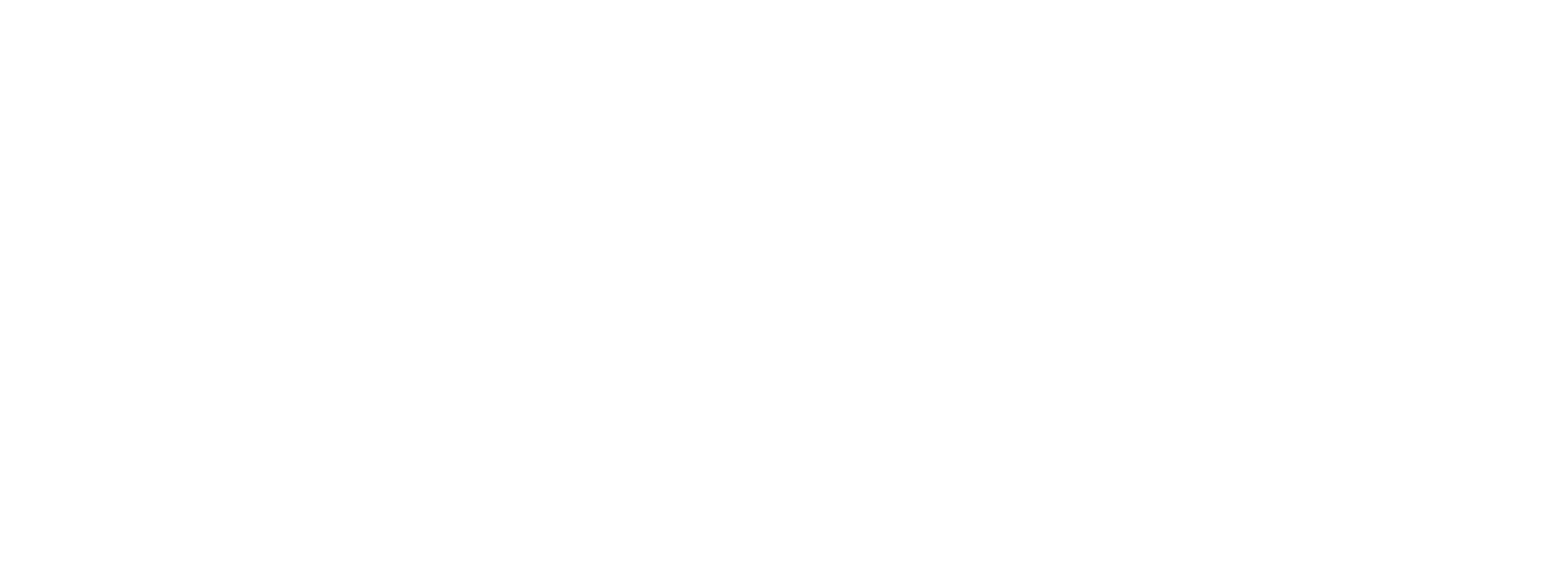 Bellamonte Professional